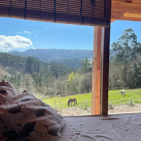 アパート San Bartolome Etxola