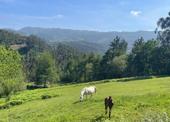 San Bartolome Etxola * エア