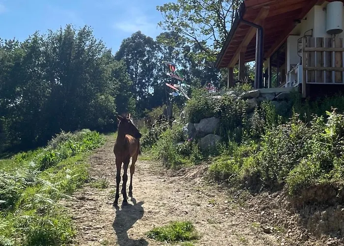 San Bartolome Etxola エア