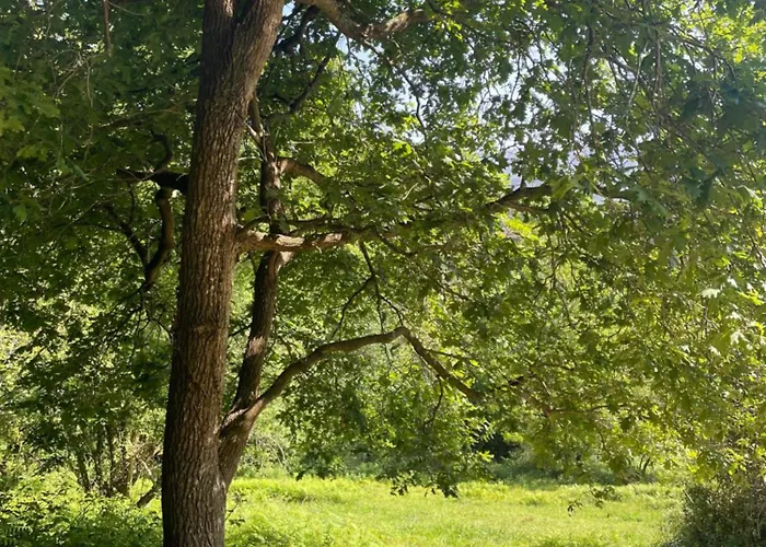 San Bartolome Etxola Apartamento *