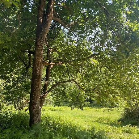 San Bartolome Etxola Lägenhet *